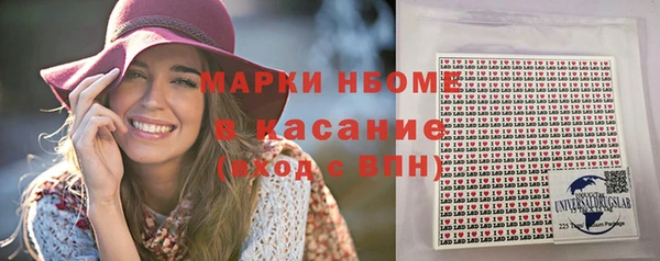 метадон Богданович